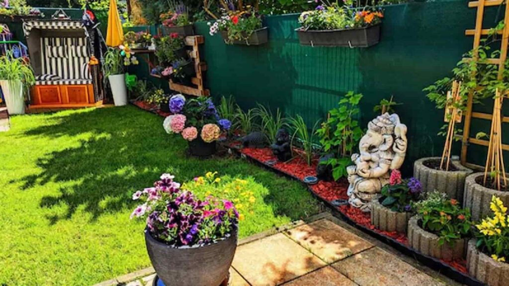 Healthy green plants in a home garden during winter, showing proper care and sunlight exposure.