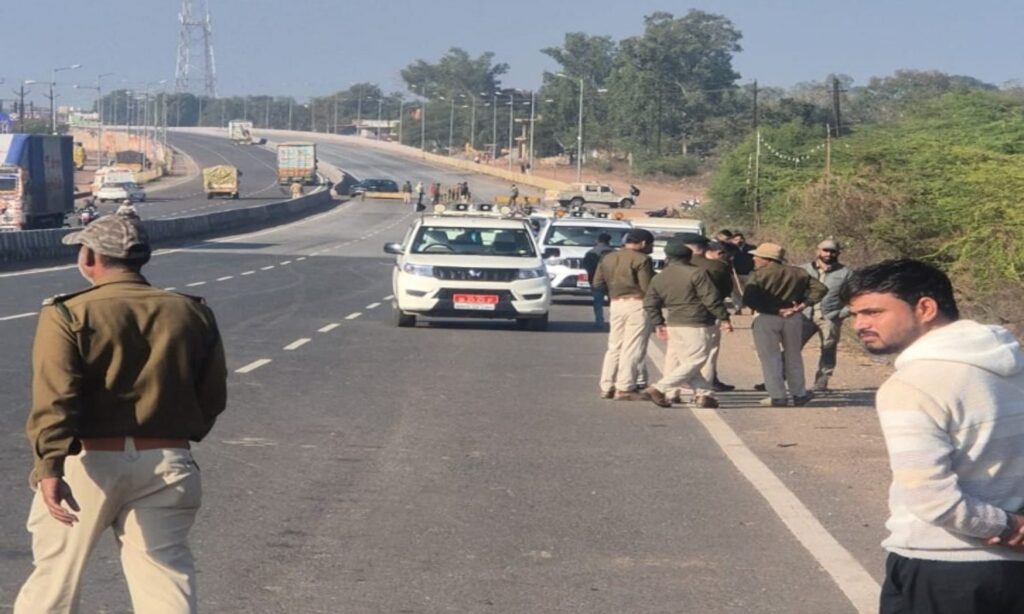Highway Speeding Vehicle Crushes Female Cheetah One Dead One Missing Wildlife Accident