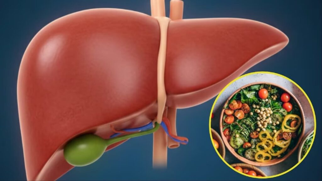 Illustration of a healthy human liver alongside a bowl of balanced vegetables symbolizing liver-friendly lifestyle