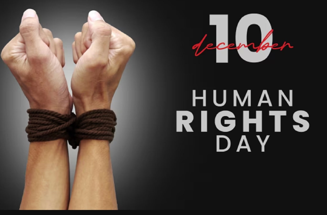 Human Rights Day 2025 Global Awareness Celebration Humanity Rights