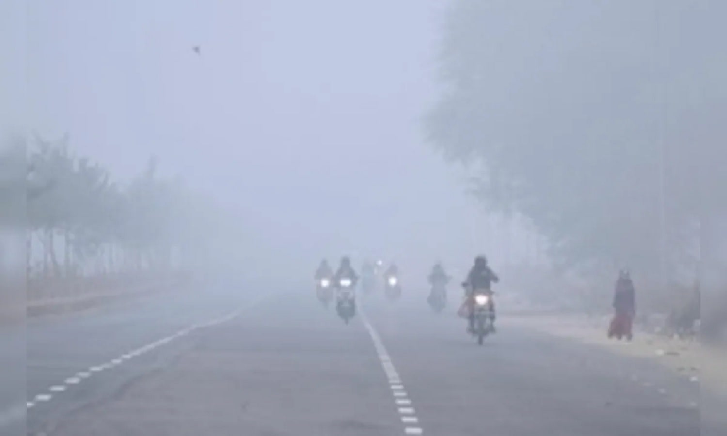 MP Weather Today: प्रदेश में ठंड और घना कोहरा बढ़ा रहा मुश्किलें, 12 जिलों में अलर्ट जारी