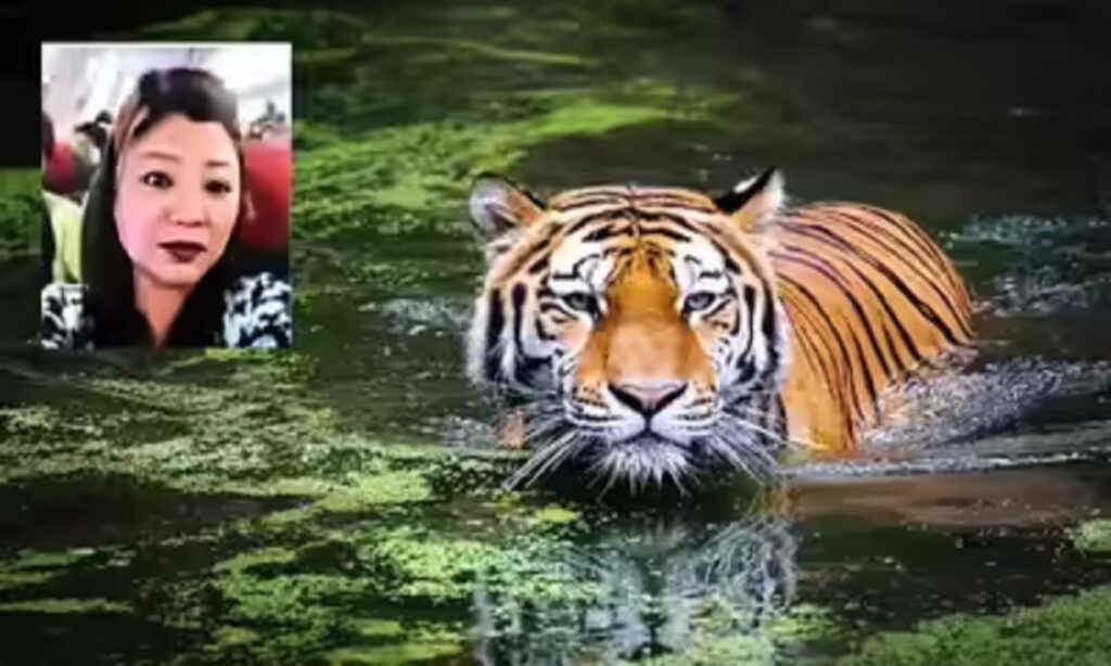 Notorious Woman Tiger Smuggler Arrest – CM Mohan Congratulates Team