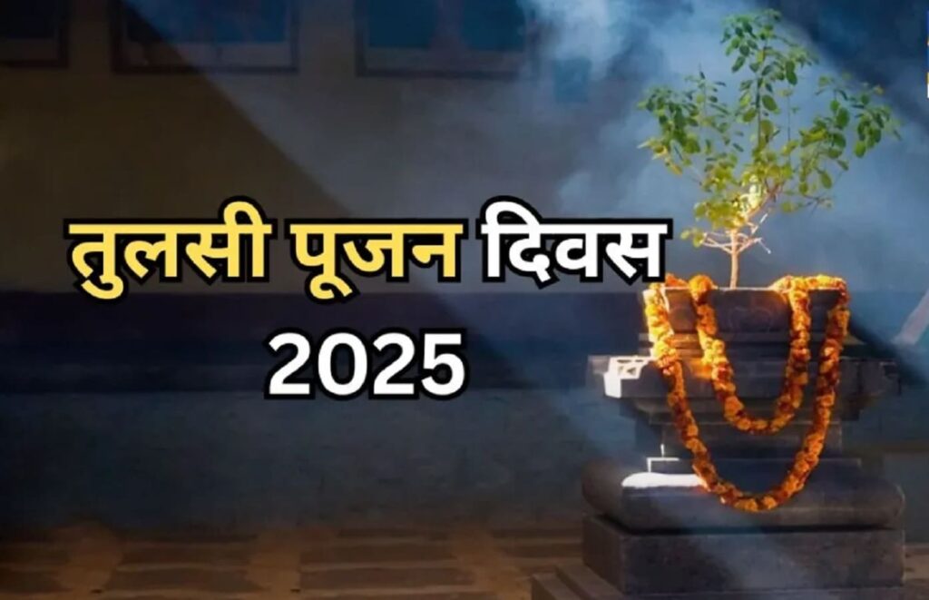 Tulsi plant decorated for Tulsi Pujan Diwas with traditional garlands