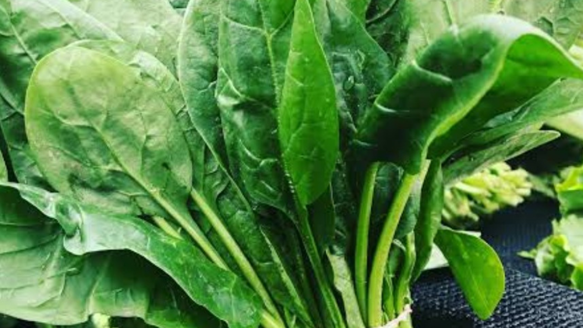 अगर आप पालक खाते हैं, तो ये Spinach Eating Mistakes जरूर जान लें