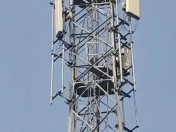 Singrauli News : प्रेमिका से शादी की जिद पर अड़ा युवक मोबाइल टावर पर चढ़ा, नीचे उतरने से इनकार