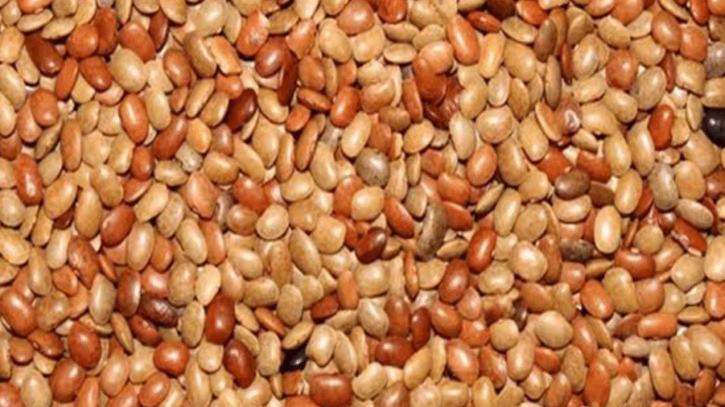 वजन घटाने की देसी चाबी! Horsegram दाल पर हेल्थ एक्सपर्ट्स की राय