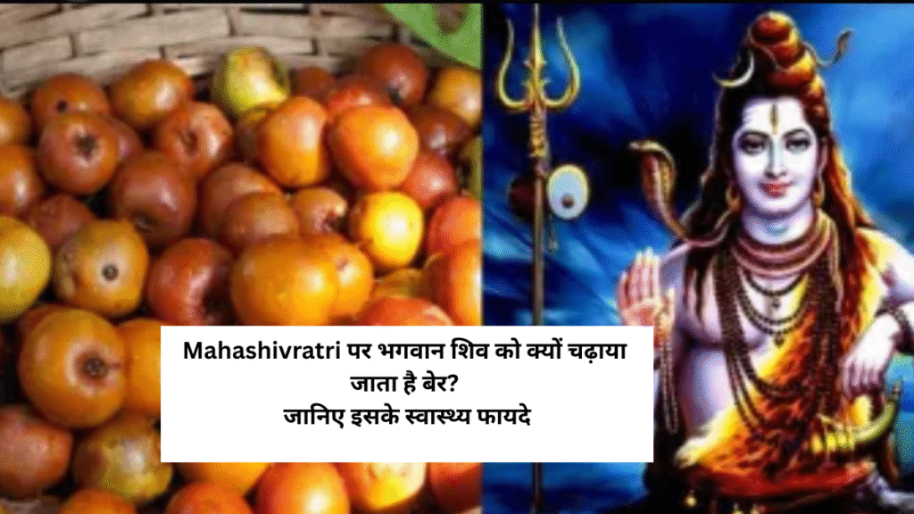 Mahashivratri पर भगवान शिव को चढ़ाया जाता है बेर, जानिए इसके स्वास्थ्य फायदे