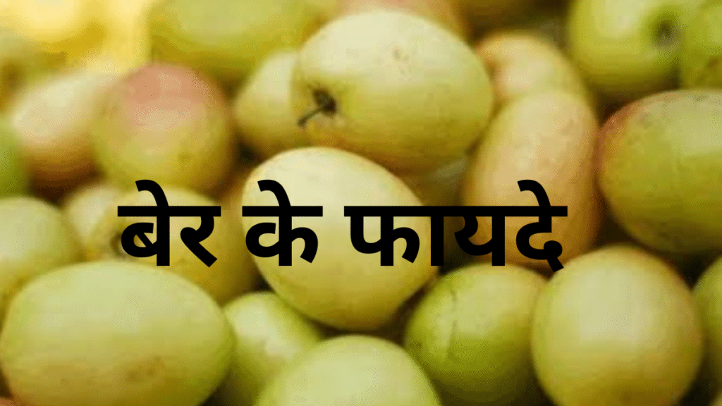 Mahashivratri पर भगवान शिव को चढ़ाया जाता है बेर, जानिए इसके  स्वास्थ्य फायदे