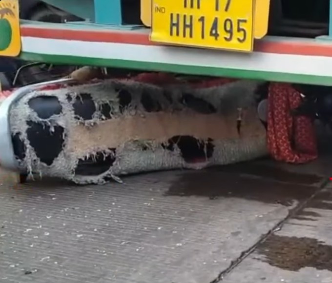 Rewa News : तेज ट्रक ने बाइक सवार परिवार को कुचला, पत्नी की मौत, पति और दो बेटियां गंभीर