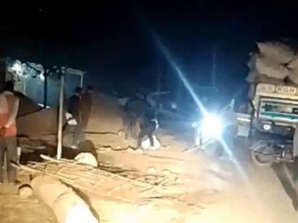 Deadly attack on wild animals in Rewa