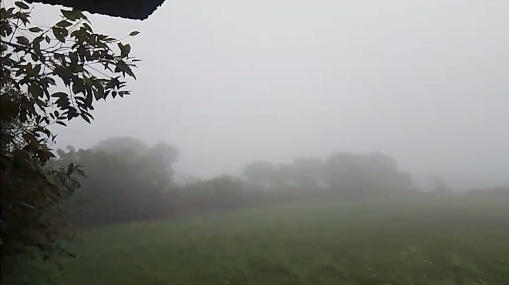 Cold and dense fog continue to wreak havoc in Rewa