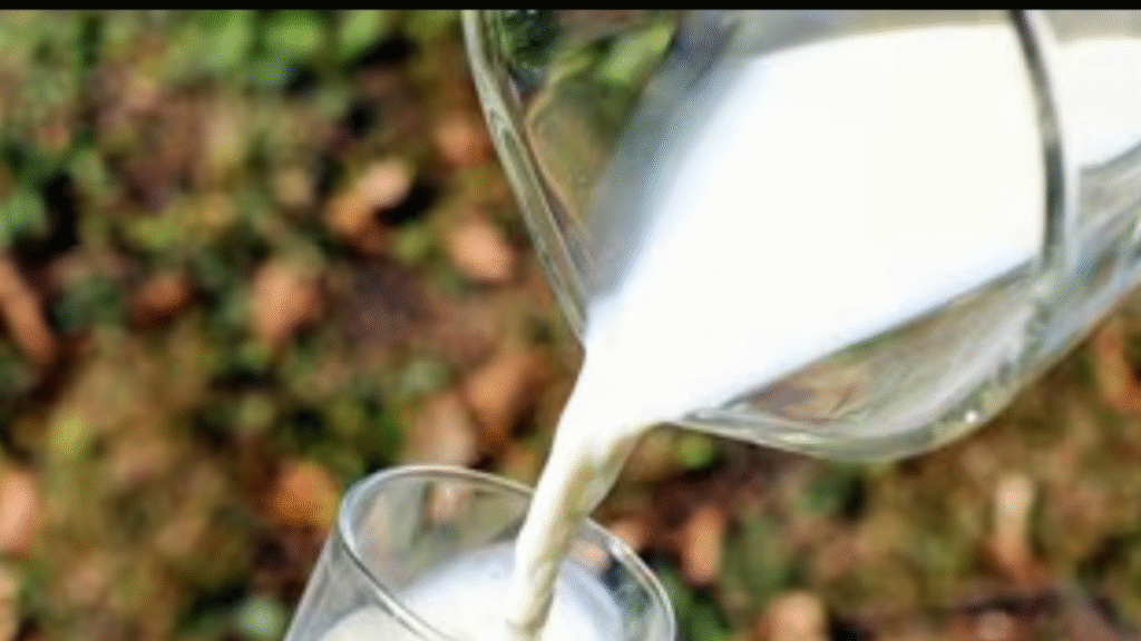 Heart Health: Which milk is safe for heart patients?