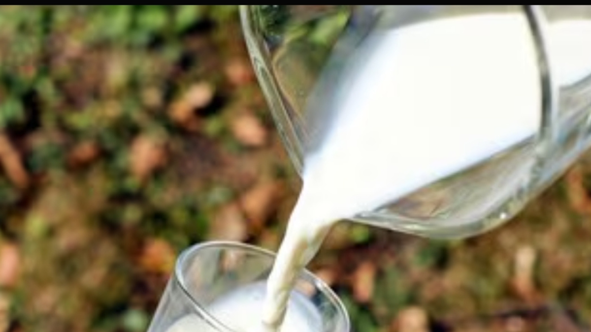 Heart Health: Which milk is safe for heart patients?