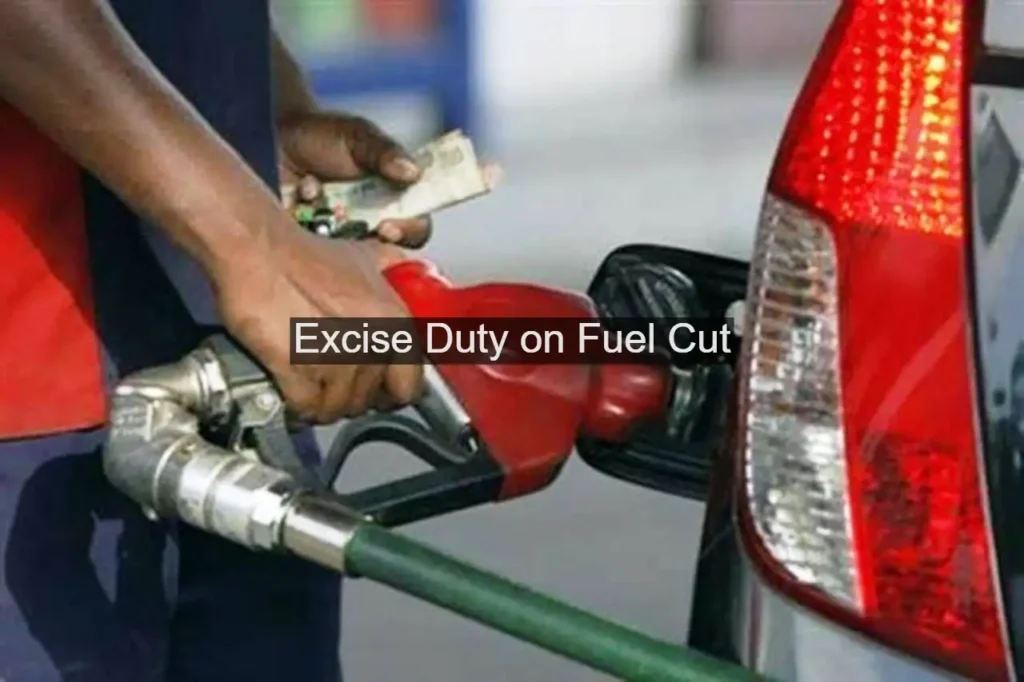 Commuters at a petrol pump after the government announced fuel price relief in India.