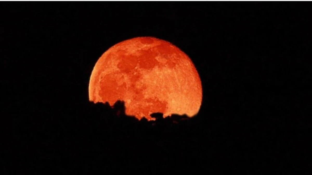 Blood moon visible in the night sky during the total lunar eclipse of March 2026