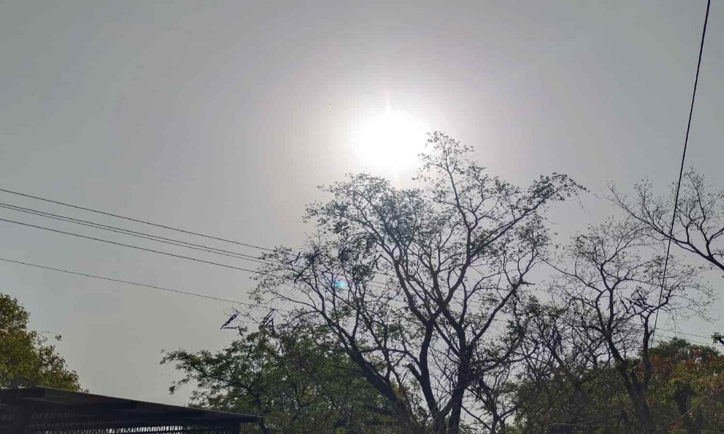 mp today weather