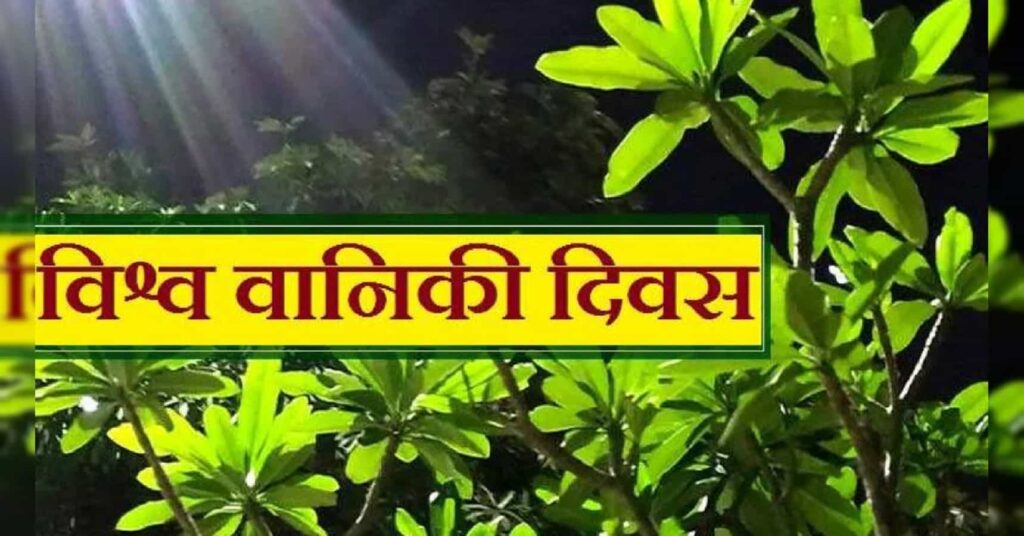 International Day of Forests : अंतरराष्ट्रीय वानिकी दिवस को सार्थक बनाने के उपाय क्योंकि वन हैं तो कल है
