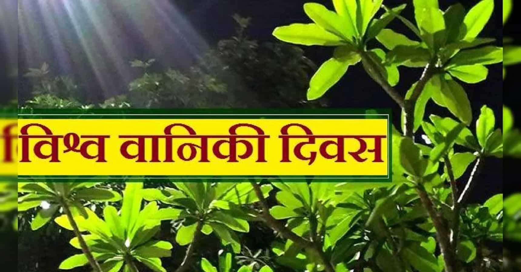 International Day of Forests : अंतरराष्ट्रीय वानिकी दिवस को सार्थक बनाने के उपाय क्योंकि वन हैं तो कल है