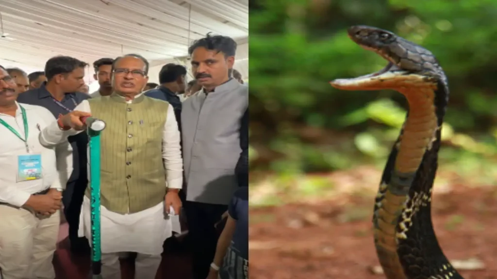 Kisan Mitr Chhadi smart safety stick for farmers to detect snakes in fields.