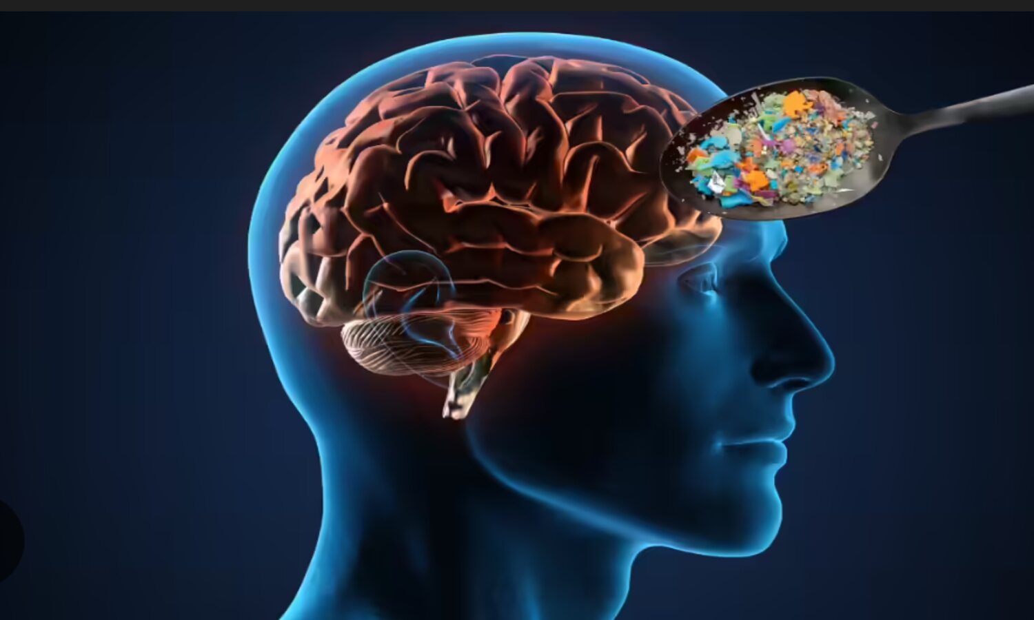 Nano Plastic Brain Barrier : क्या आप भी प्लास्टिक के बर्तन में खाते-पीते हैं? दिमाग़ में जा रहे नैनो प्लास्टिक से बचें 