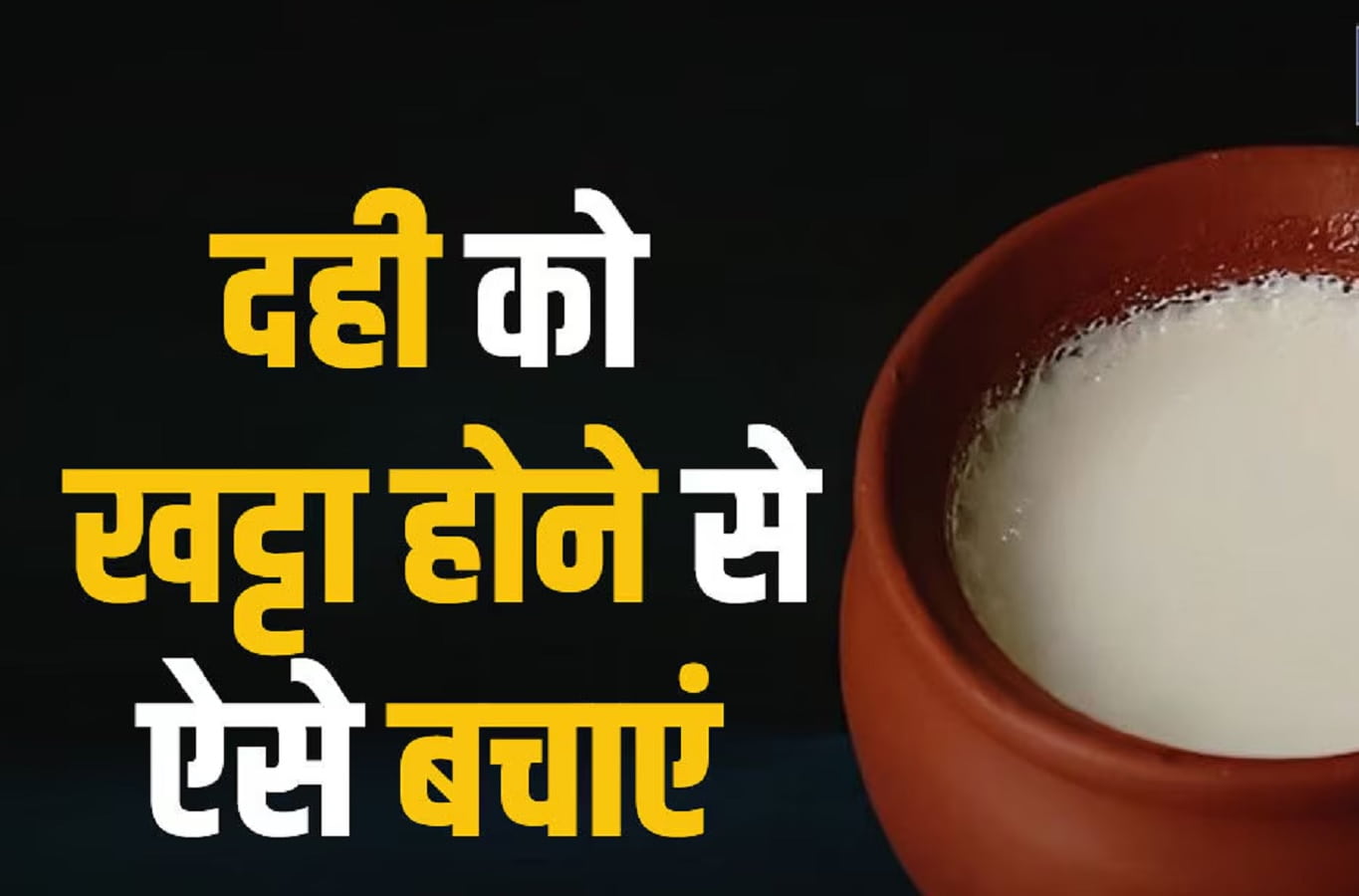 Homemade Fresh Curd Tips-