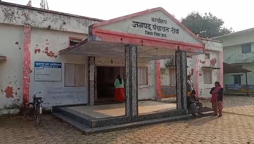 Major action by electricity department at government office in Rewa