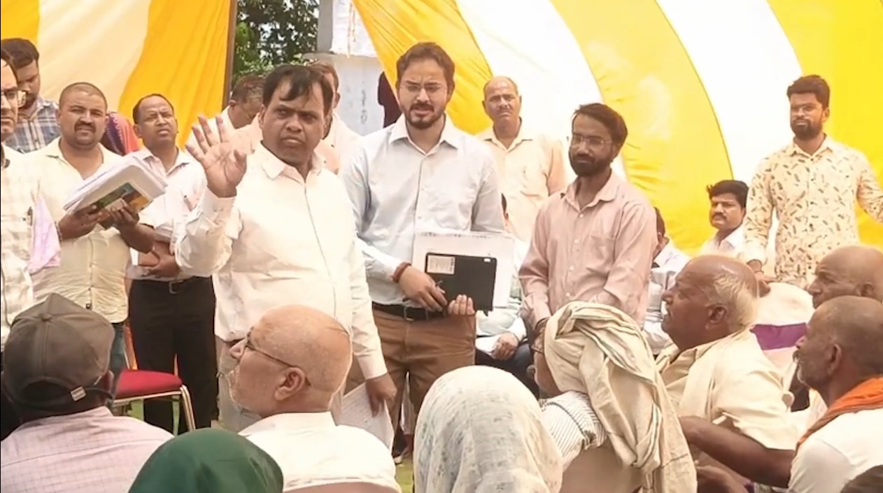 Rewa's new collector in action avatar