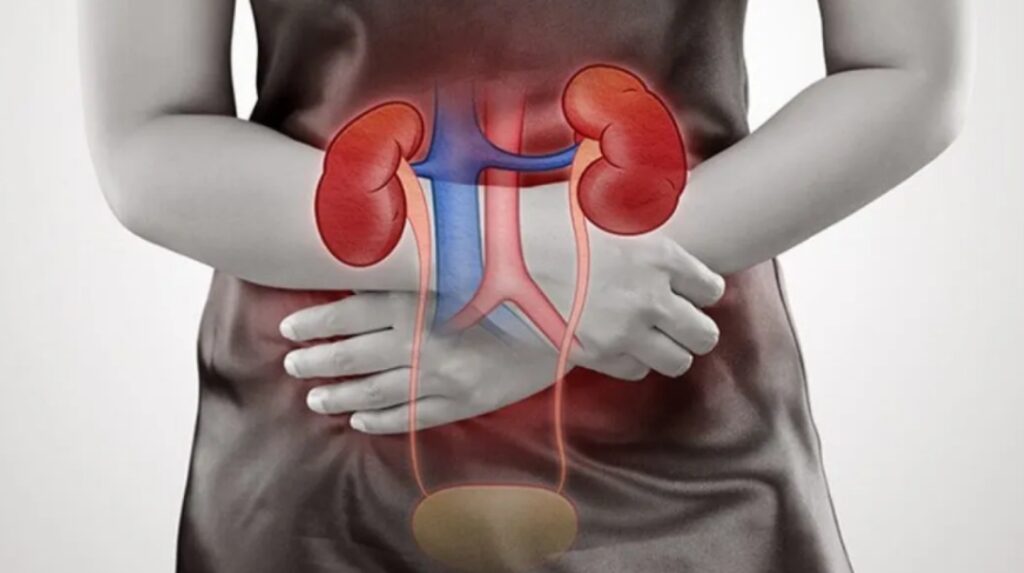 Signs of kidney damage appear late, follow these important rules for prevention