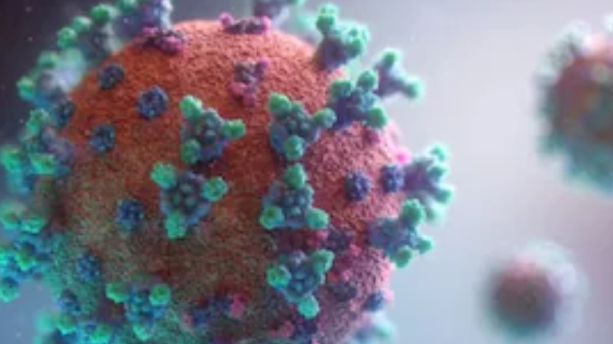 NIV issues big statement on Hantavirus, says no threat to India at present