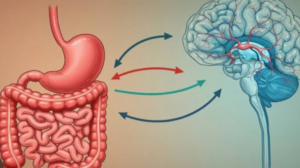 New study on gut microbiome offers a major clue to autism and ADHD risk