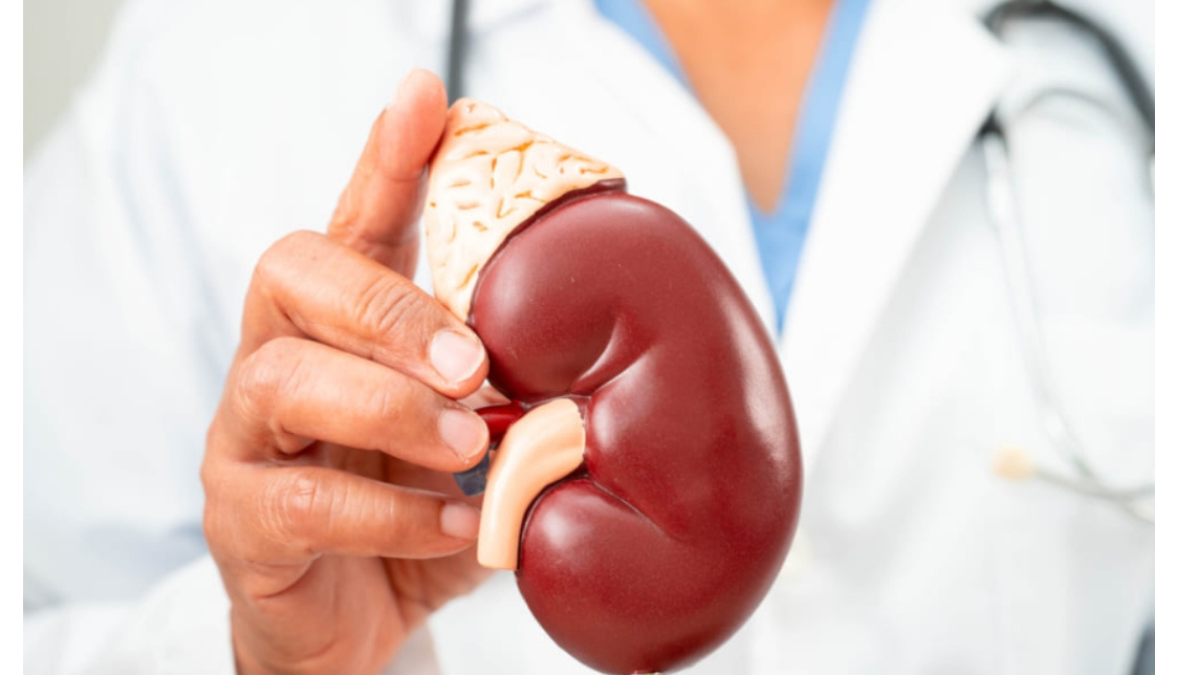 Signs of kidney damage appear late, follow these important rules for prevention