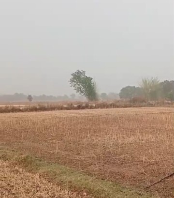 Heavy hailstorm with thunderstorm and rain in Rewa
