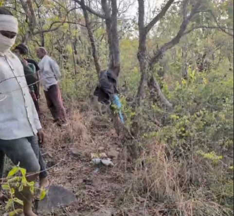 The skeleton of a minor couple missing on Valentine's Day in Rewa was found in the forest.