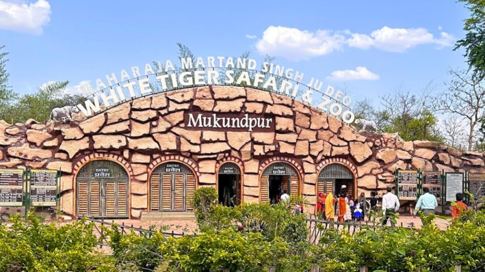 White Tiger Safari in Maihar