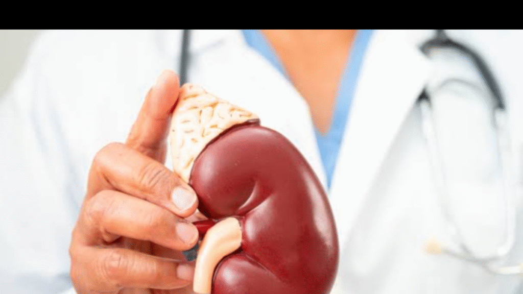 These daily habits can increase the risk of kidney damage; make changes in time.