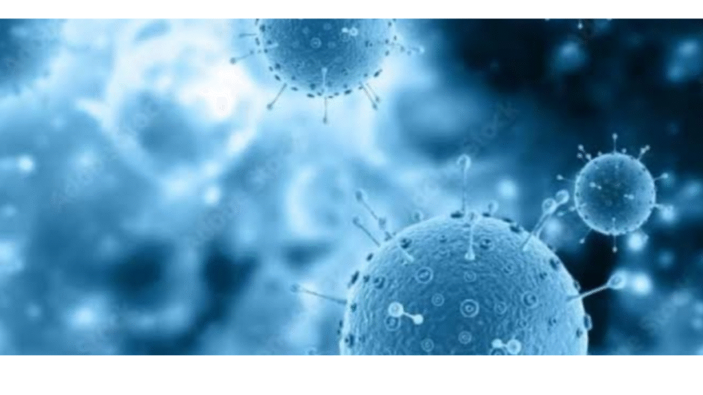SIRT7 Protein: New study reveals why the impact of disease differs between men and women.
