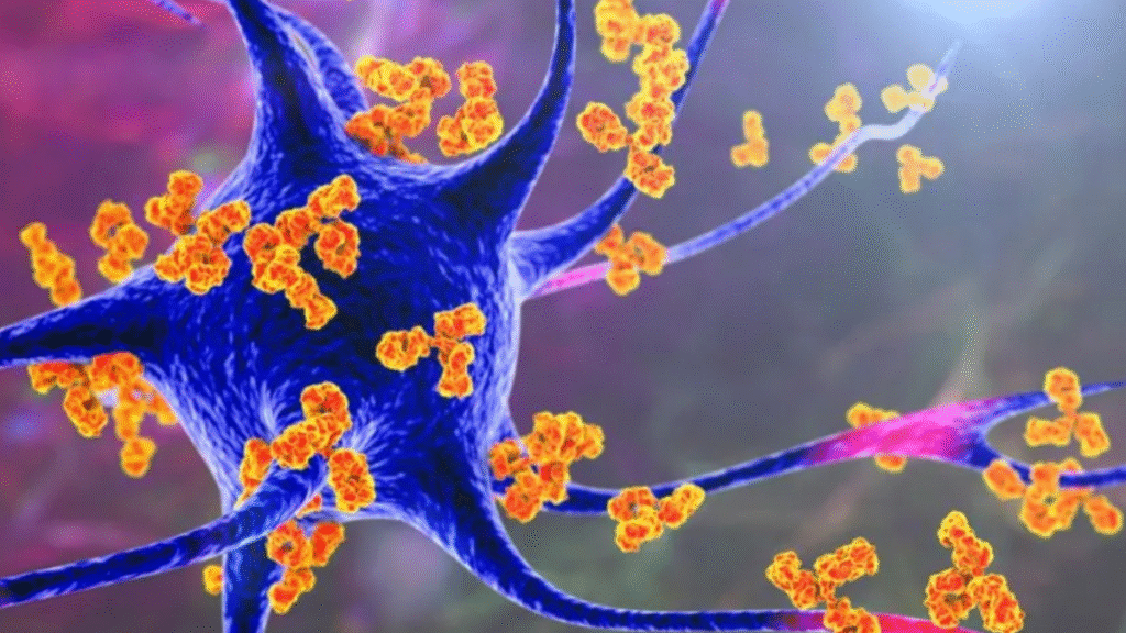 SIRT7 Protein: New study reveals why the impact of disease differs between men and women.
