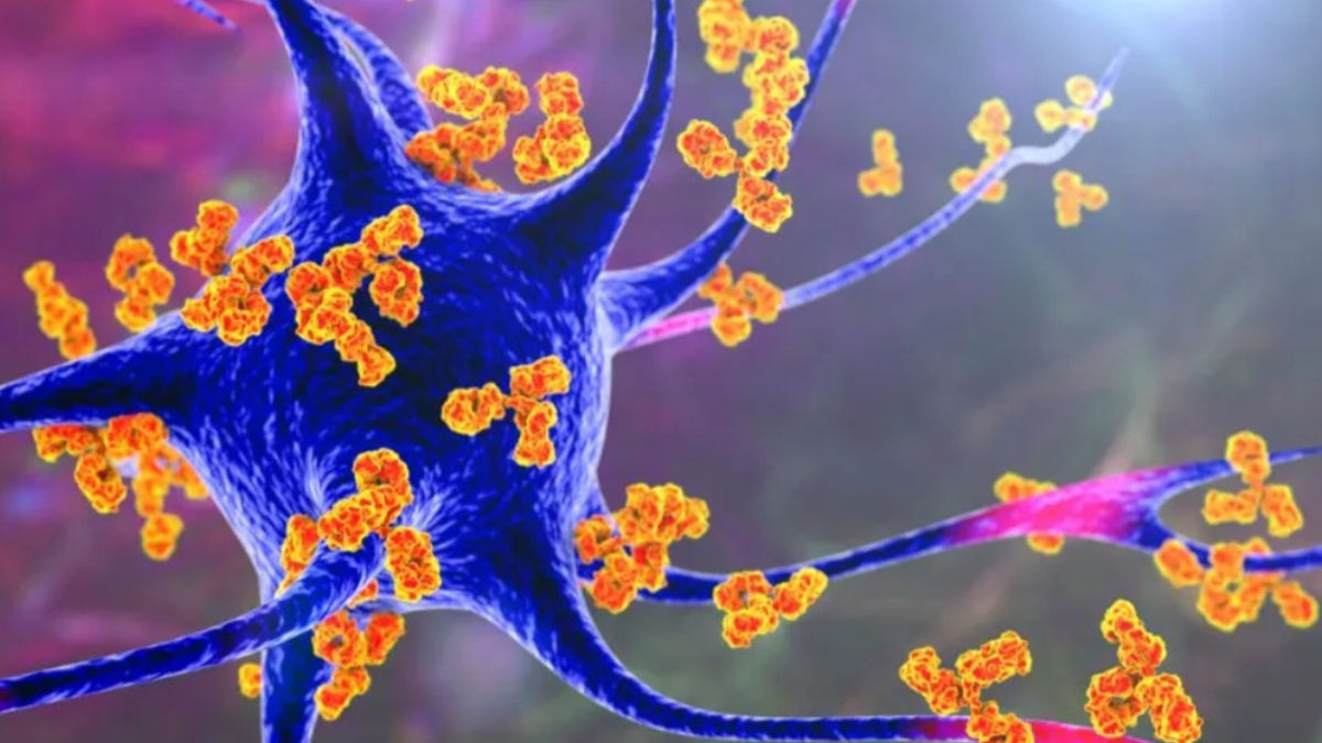 SIRT7 Protein: New study reveals why the impact of disease differs between men and women.