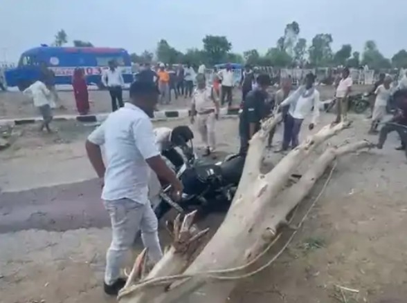 Sheesham tree falls on moving bike in Maihar
