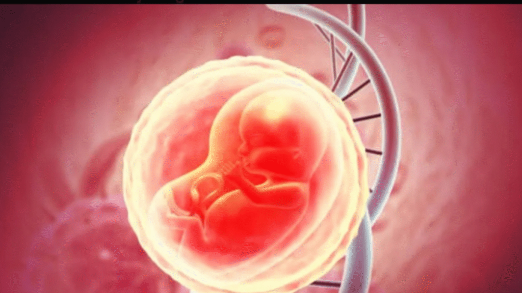 Indian scientists develop 'Placenta-on-Chip'; a major breakthrough in pregnancy research.