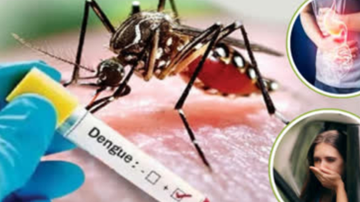 Dengue in India: The risk of dengue is no longer limited to the monsoon season; it persists throughout the year.