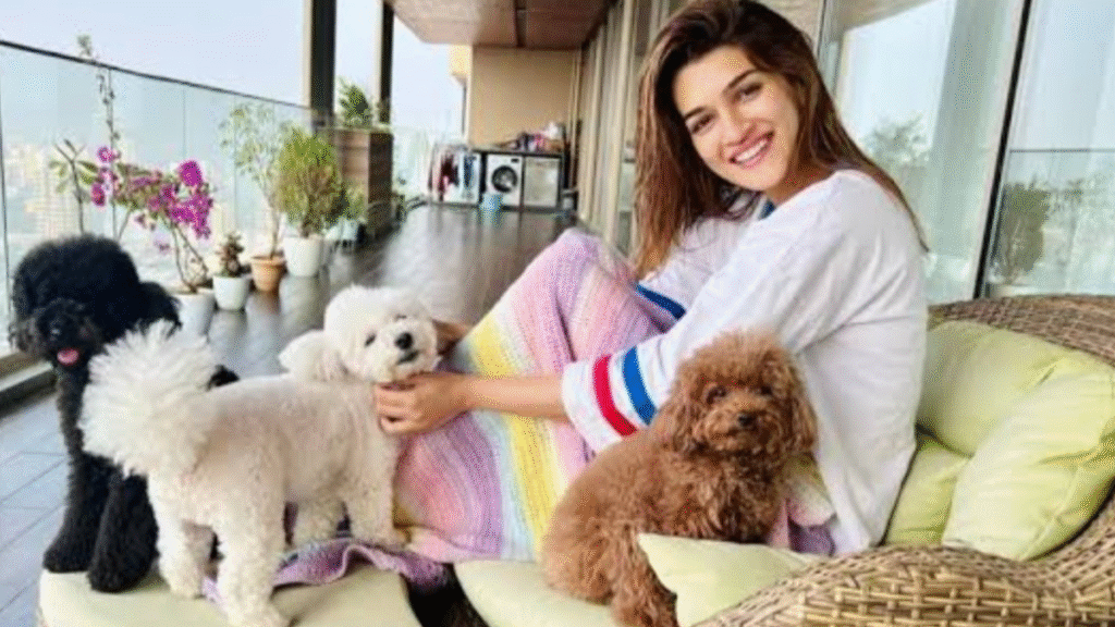 Inside details of Kriti Sanon 78 crore penthouse—find out what makes it special.