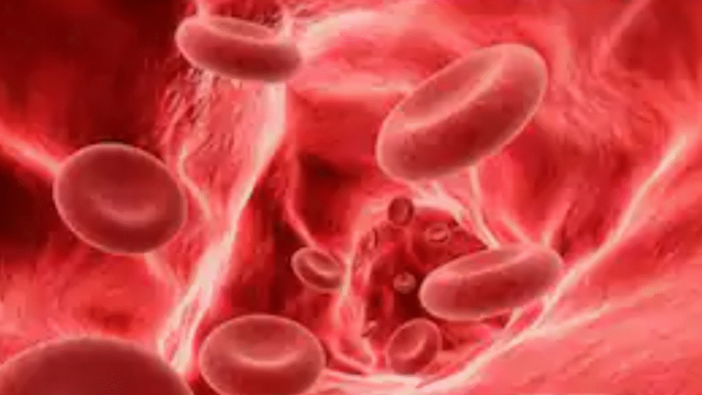 Anaemia: Timely testing and identifying the exact cause will make treatment easier.