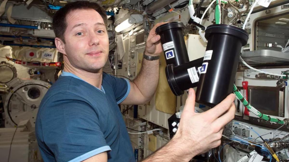 How can Space Oncology transform cancer treatment? Find out what the new research says.