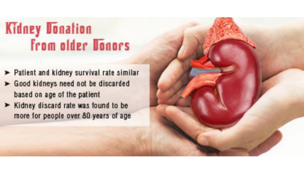 Kidney Donation by Older Adults: How safe is it after age 60? New study reveals key insights.