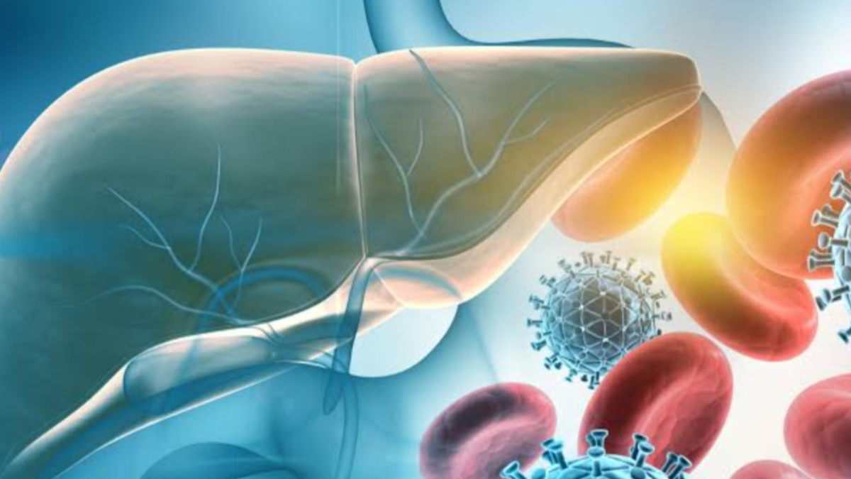 New Hope for an HBV Cure: What Has Changed in the Treatment of Chronic Hepatitis B?