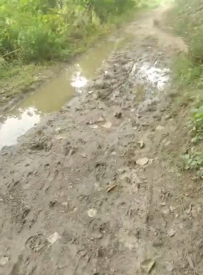 Childbirth takes place at home in Rewa due to a mud-filled road.