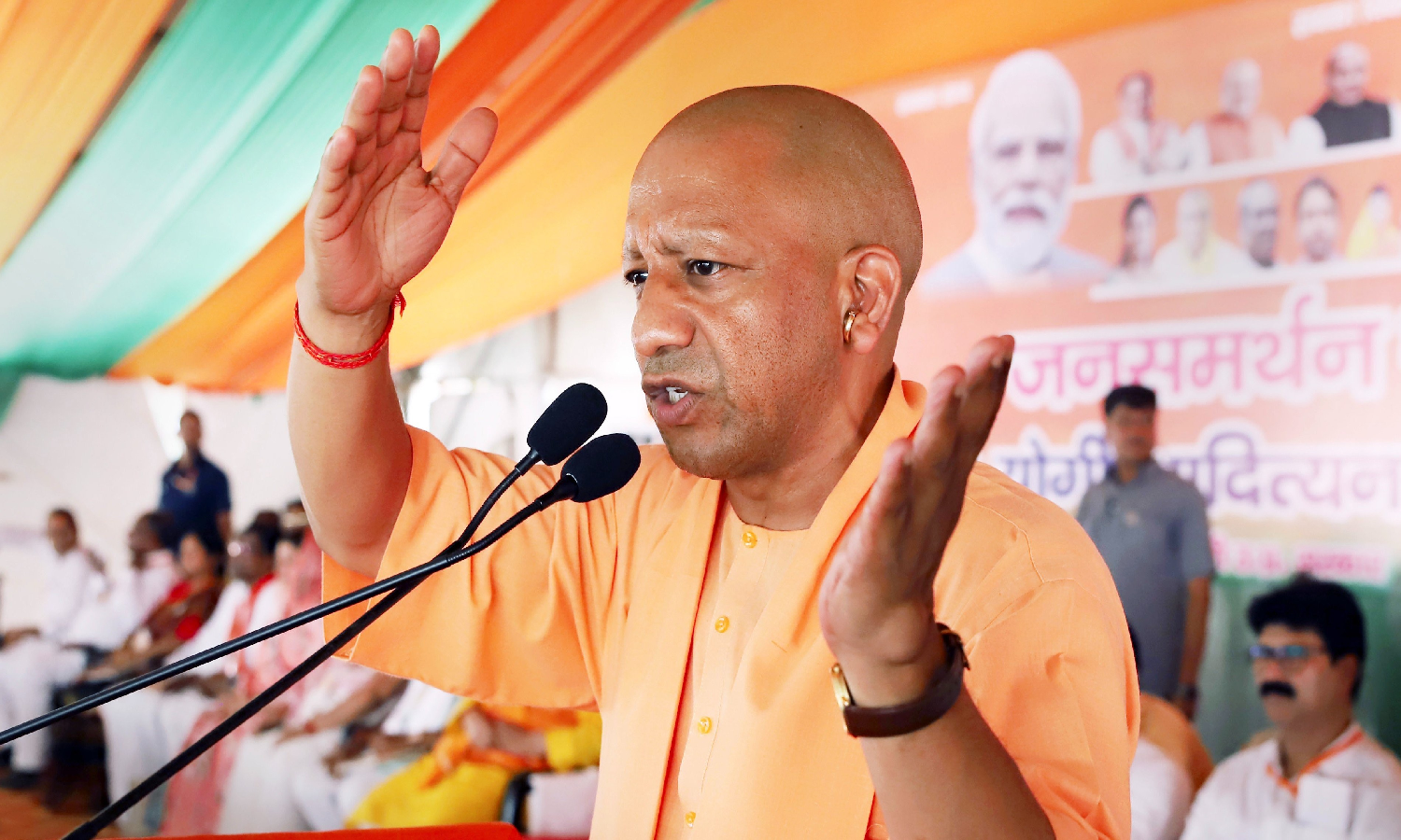 yogi
