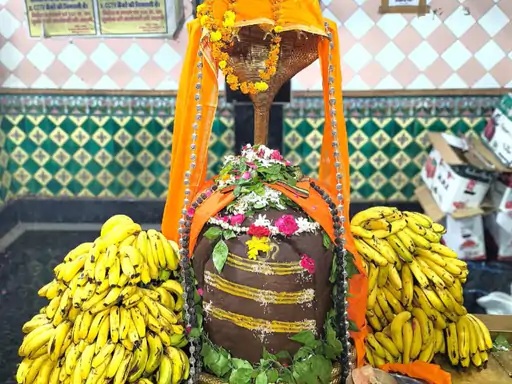 A massive surge of devotees thronged Satna's Gaibinath Dham on the first Monday of Sawan.