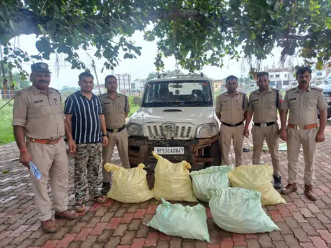 Major crackdown on narcotics in Rewa and Mauganj